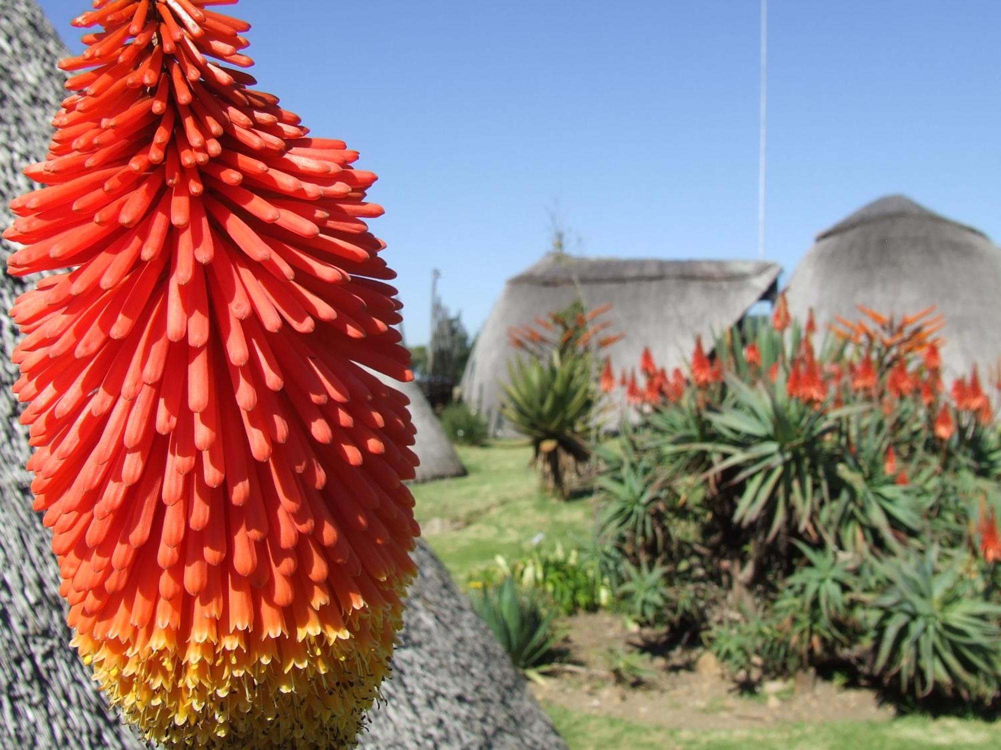 Hawane Resort Mbabane Eksteriør bilde
