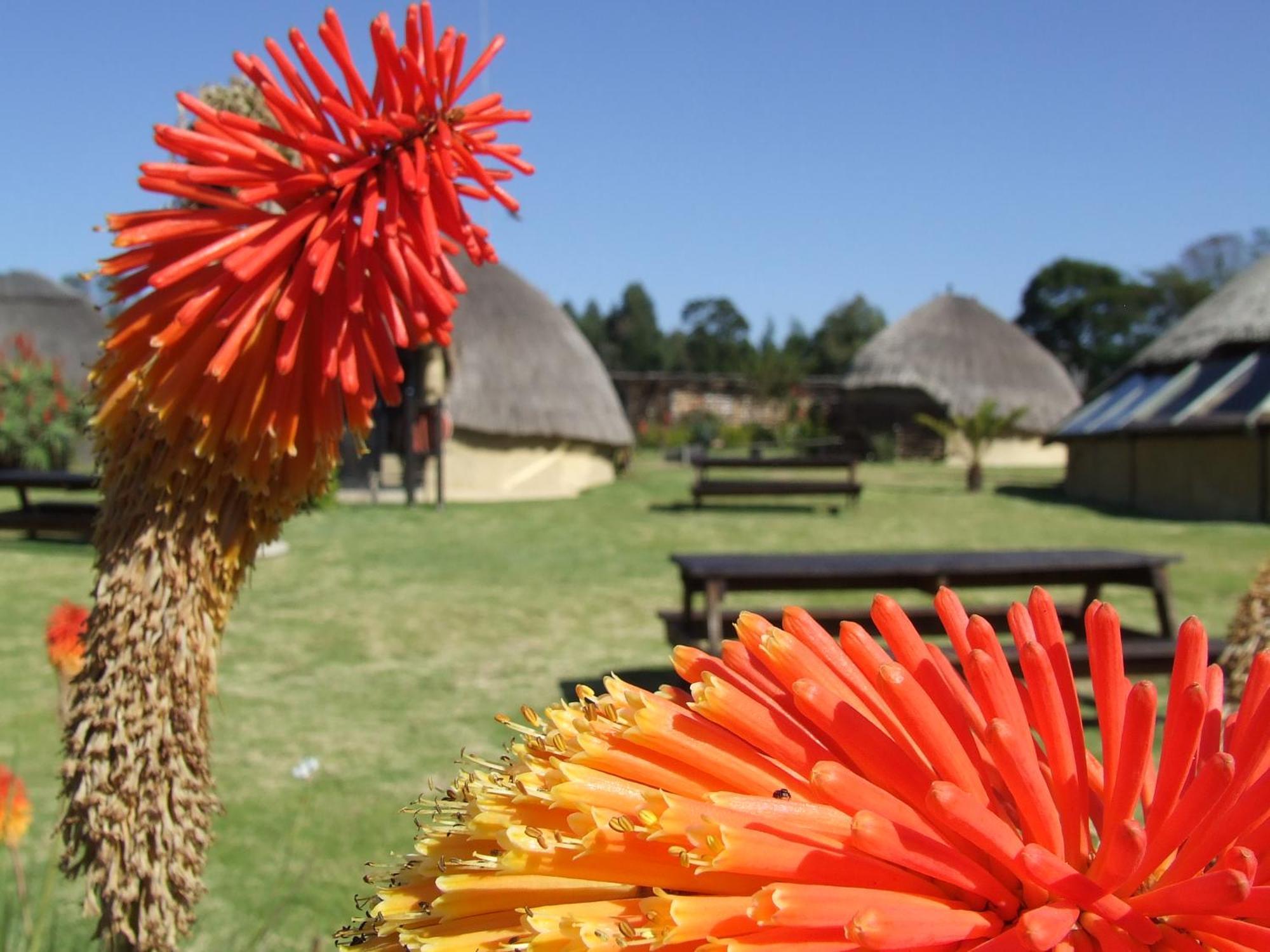 Hawane Resort Mbabane Eksteriør bilde